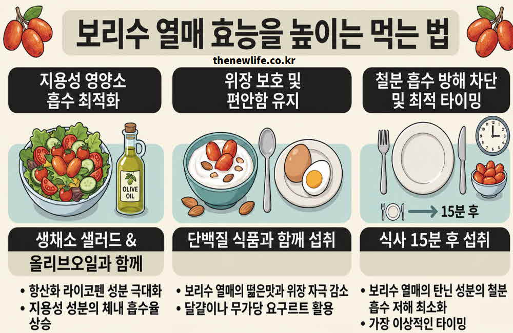 보리수 열매 효능 높이는 먹는법