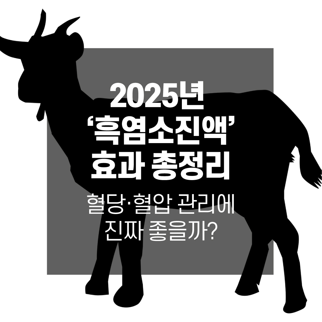 TV조선 <굿모닝 정보세상> 1210회- 2025년 흑염소 진액 효과 총정리: 혈당&middot;혈압 관리에 진짜 좋을까?