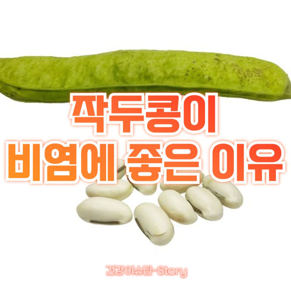 작두콩이 비염에 좋은 이유