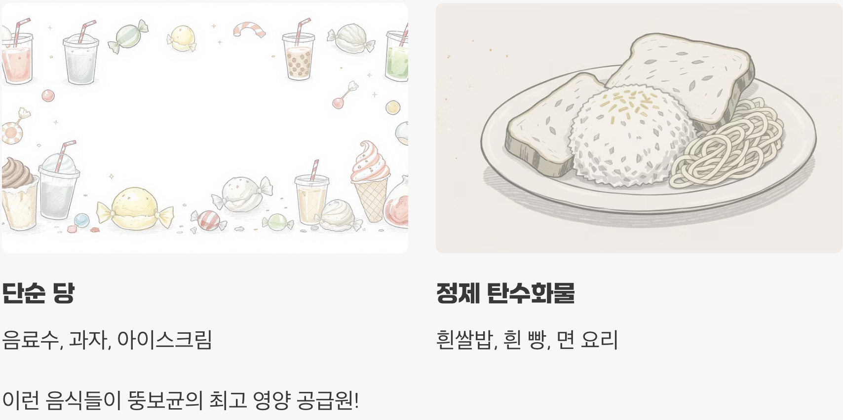 뚱보균이 가장 좋아하는 '나쁜 음식'