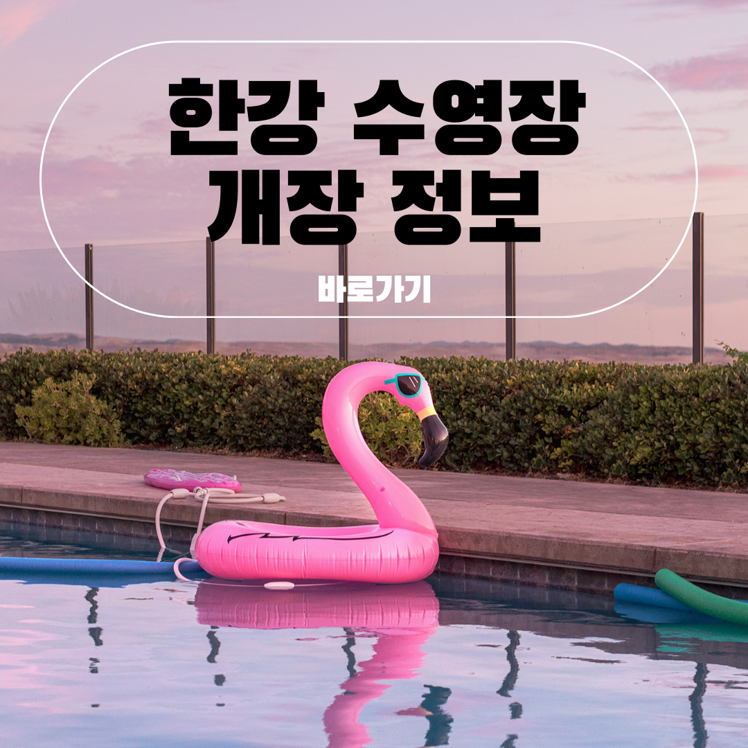 한강 수영장 개장정보