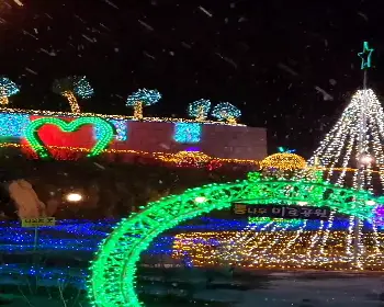 고니골 빛축제_25