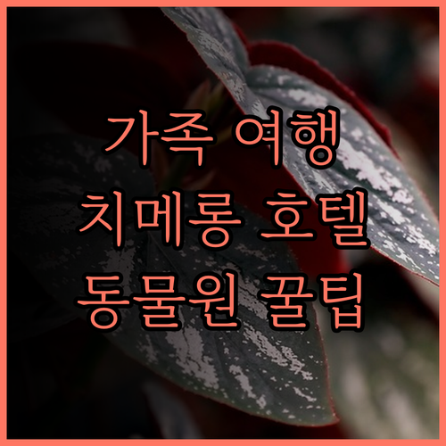 가족 여행에 최적! 치메롱 호텔 광저