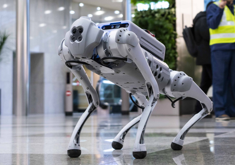 인공지능으로 로봇 제어와 실시간 영상 분석해 맞춤형 서비스 제공