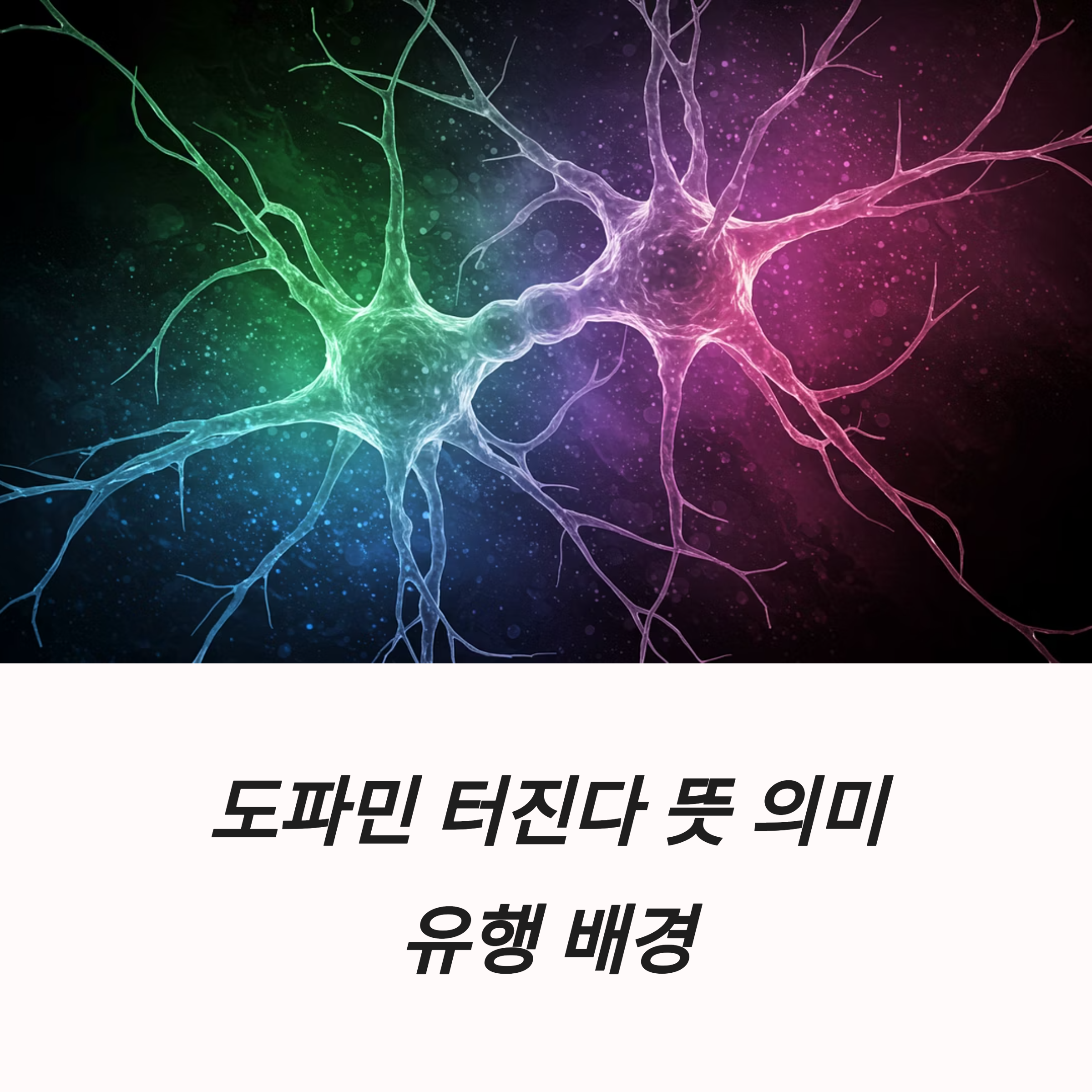 도파민 터진다 뜻 의미 유행 배경