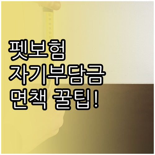 펫보험 비교 시 자기부담금과 면책기간..