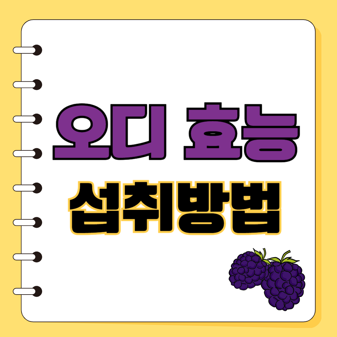 오디 효능