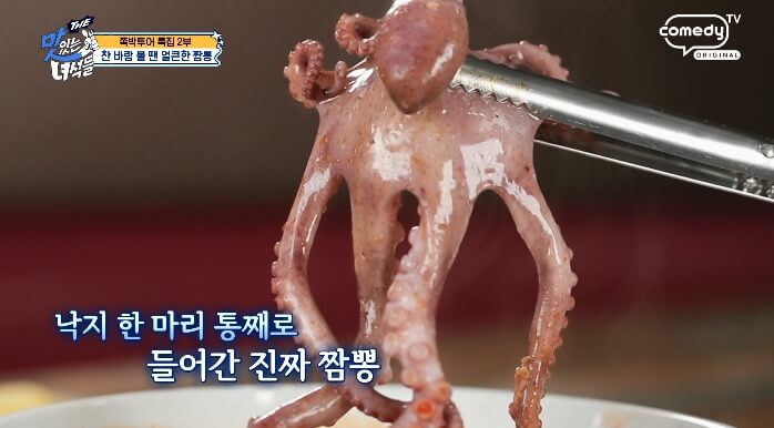 낙지