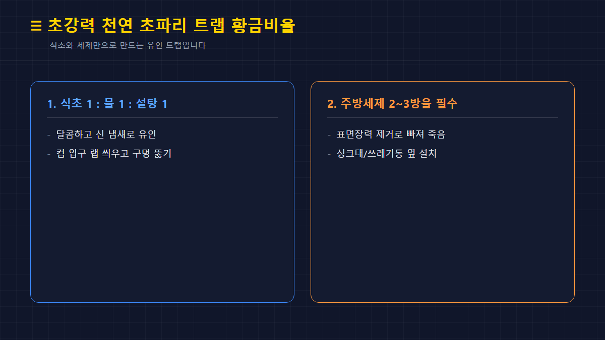 초강력 천연 초파리 트랩 황금비율 카드뉴스