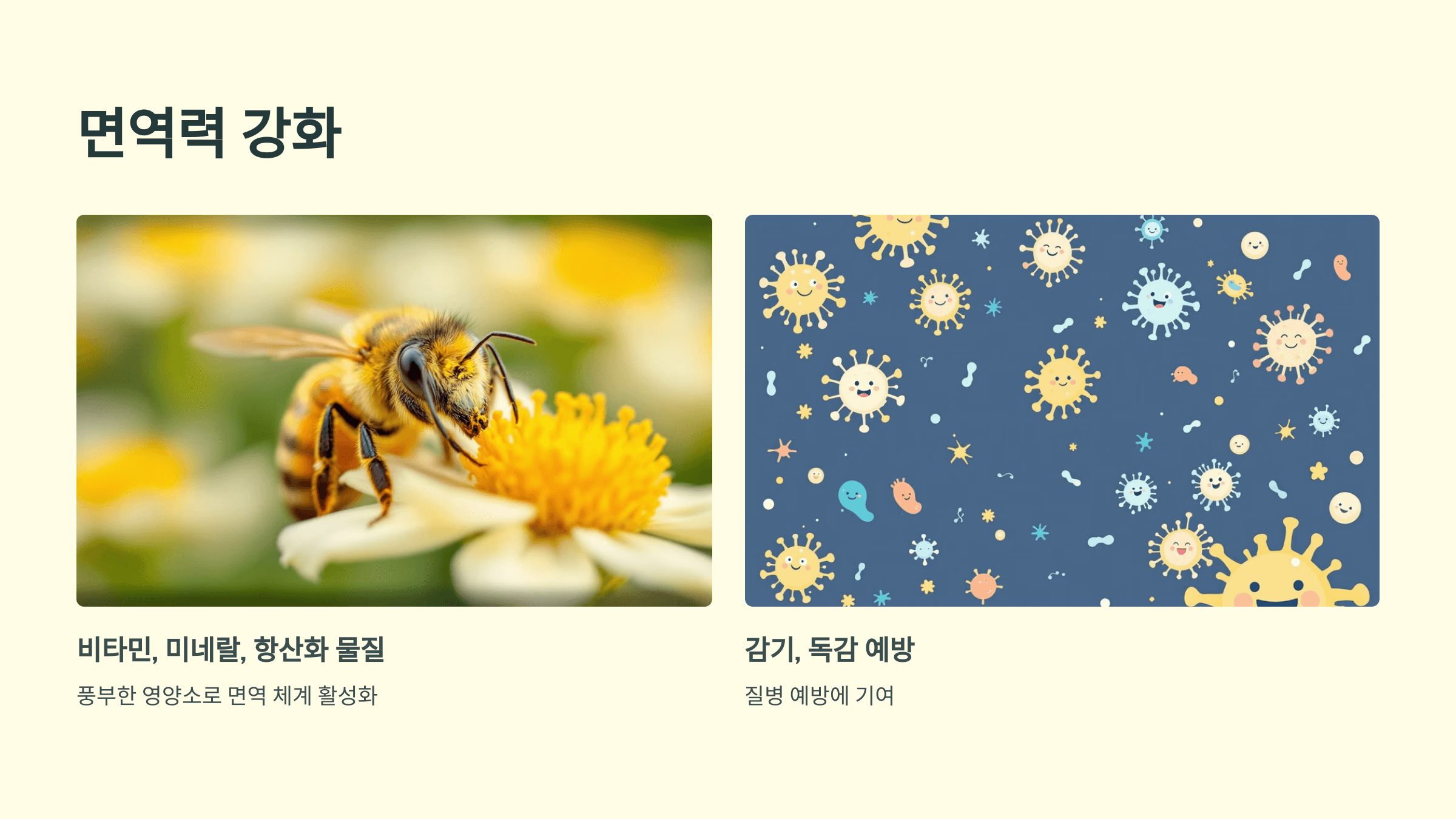 마누카꿀 사진입니다.