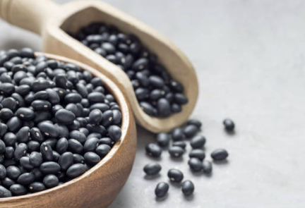 서리태 효능과 부작용 서리태 콩물 만드는 방법 총정리(24년 Ver) 