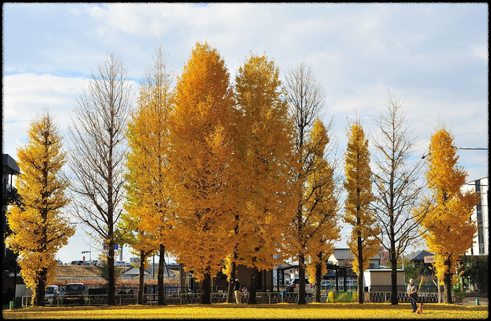 경주 숙소 어디가 좋을까? (한옥스테이,호텔,게스트하우스)