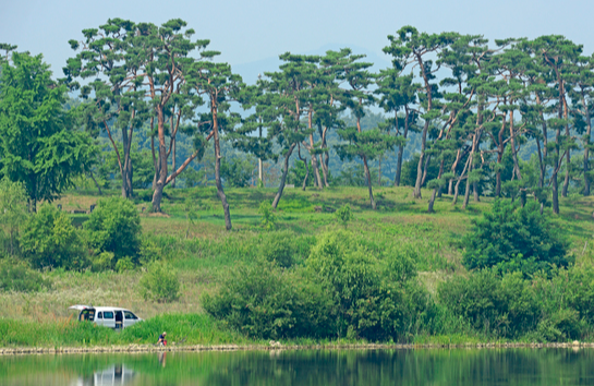 충주 가볼만한곳 베스트10
