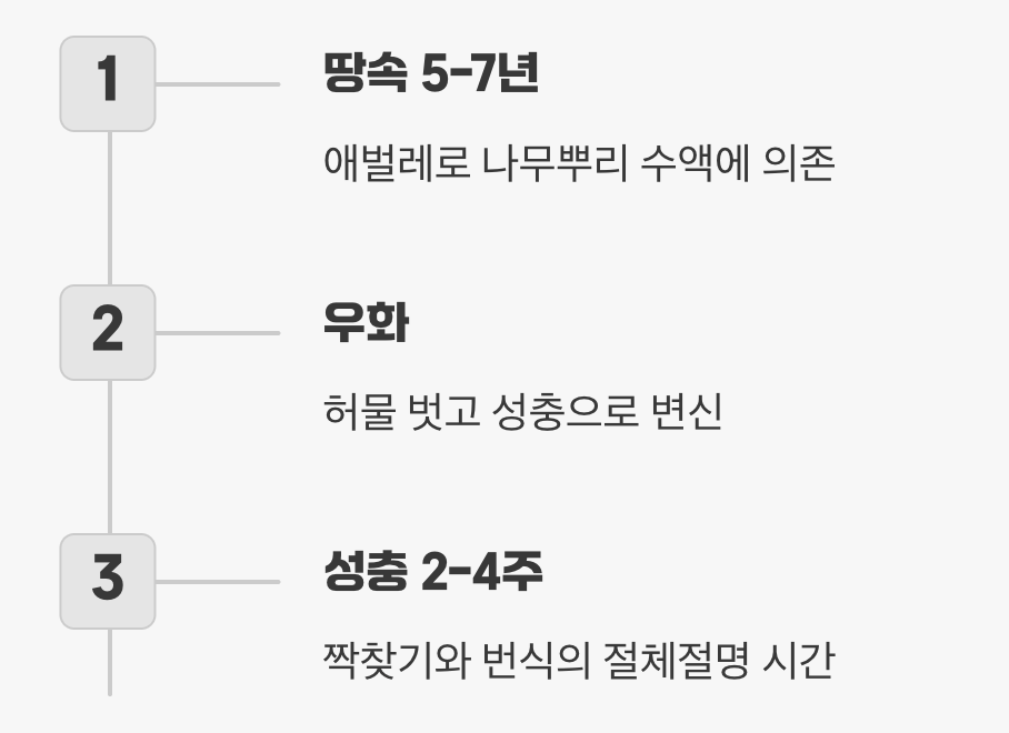 7년의 기다림, 단 2주의 노래