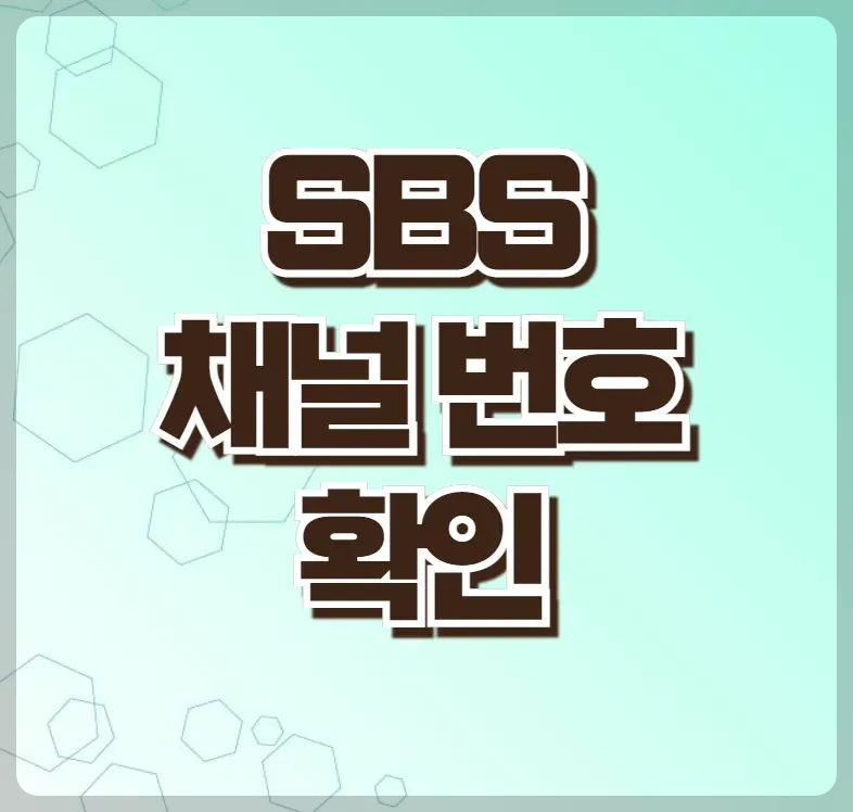 SBS 채널 번호 확인