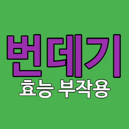 번데기 효능 부작용