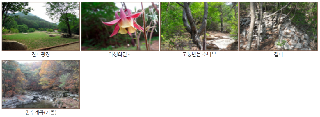 월악산 등산코스