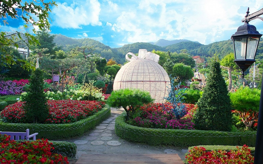 허브아일랜드 이미지