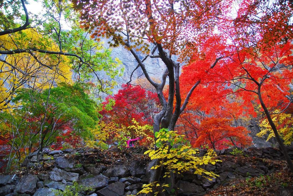 출처 : 충일산악회
