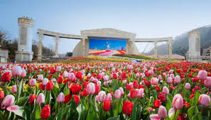 놀유니버스 에버랜드 정기권 365 스탠다드