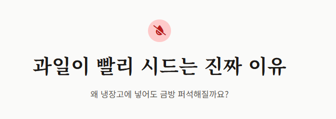 사과 보관법