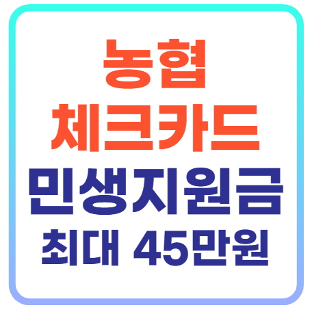 농협 체크카드 민생지원금 신청
