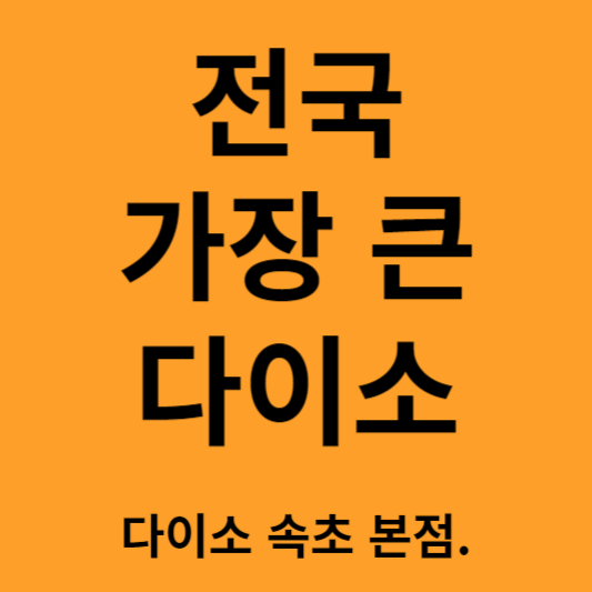 전국에서 제일 큰 다이소