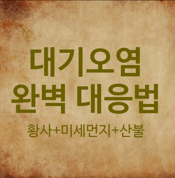 대기오염 완벽대응법 텍스트