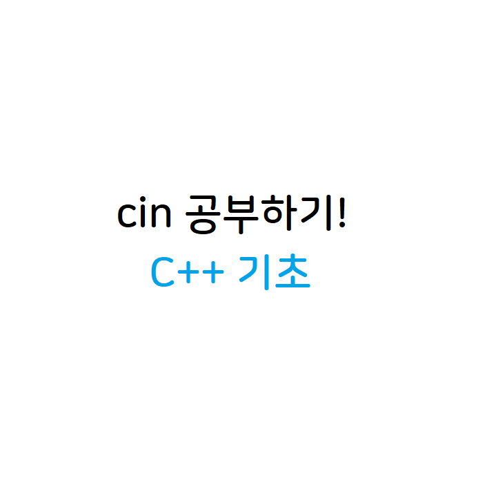cin함수