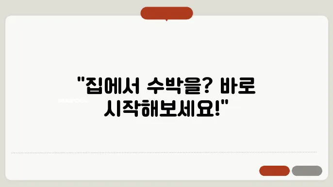 집에서 수박 키우기