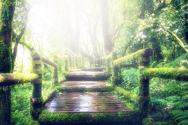 국립자연휴양림 예약 방법