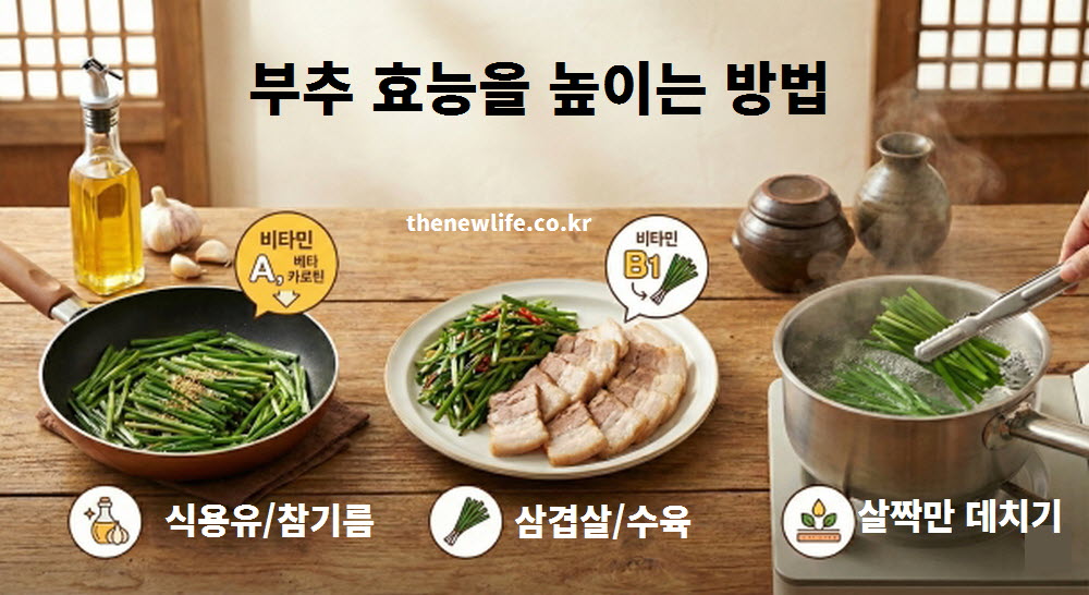 부추 효능과 영양 흡수율을 높이는 조리법을 설명하는 인포그래픽. 지용성 비타민 흡수를 위한 기름 조리, 비타민 B1 활성화를 위한 돼지고기 섭취, 영양 보존을 위한 살짝 데치기 방법