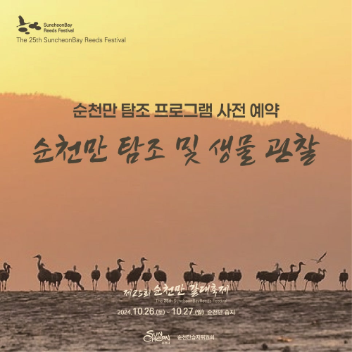 순천만 갈대축제