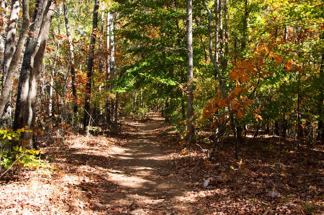 Trail