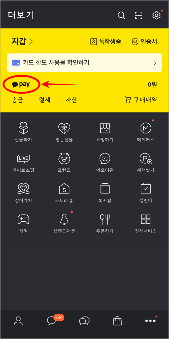 카카오톡의 더보기 탭에서 pay 버튼을 선택