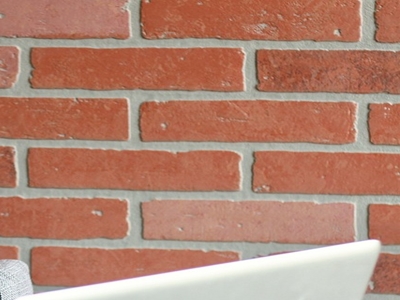 팽이버섯 사진10