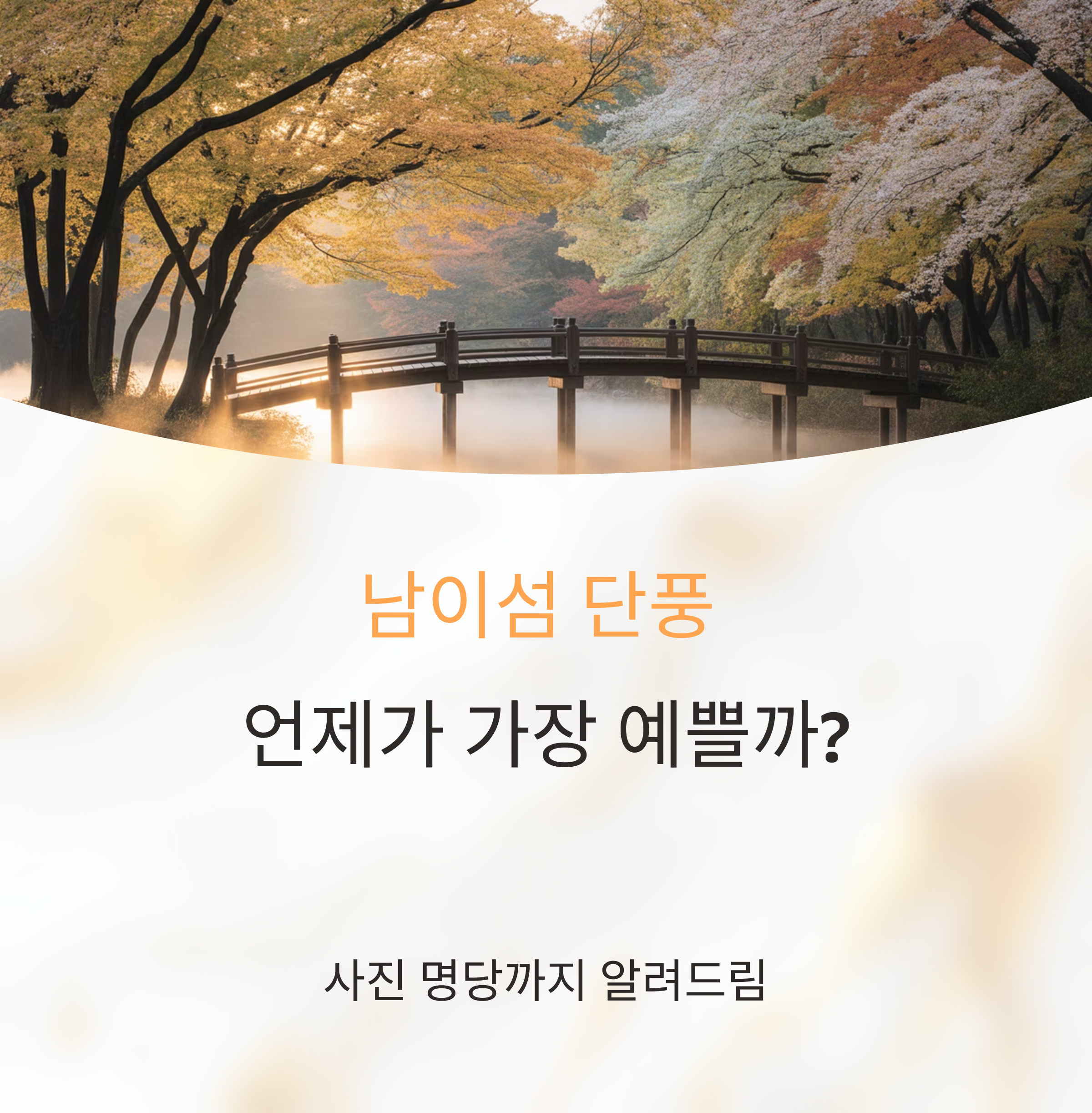 남이섬 단풍 언제가 가장 예쁠까? 사진 명당까지 알려드림