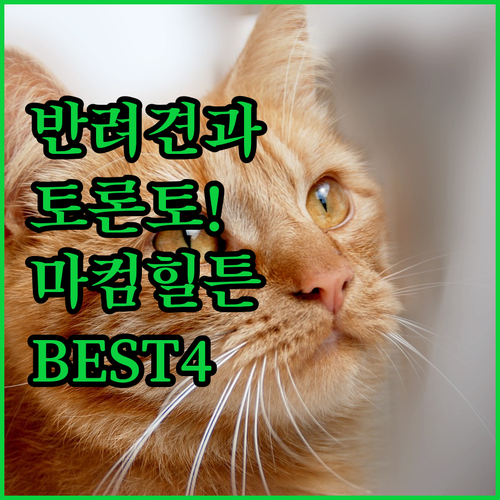 반려동물 동반 가능한 토론토 마컴 힐..