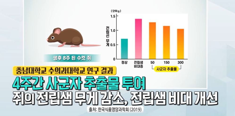 전립선 비대증에 좋은 사군자