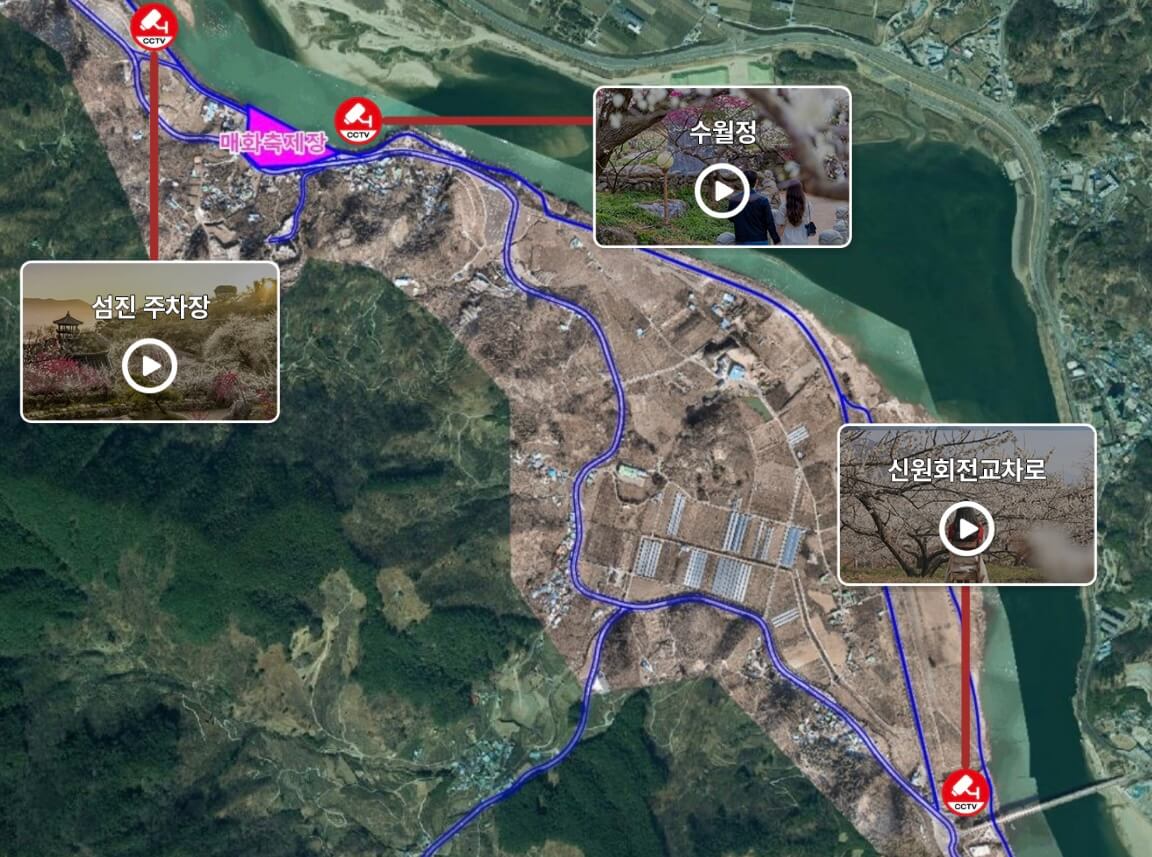 광양 매화축제기간