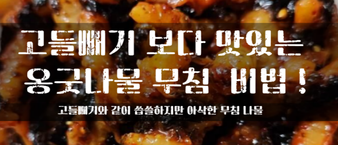 토란 뿌리 요리 인삼 뿌리 요리 삼채뿌리 요리법 뿌리요 뿌리음식 파뿌리 요리 민들레뿌리요리 토란뿌리요리
옹굿나물 무침