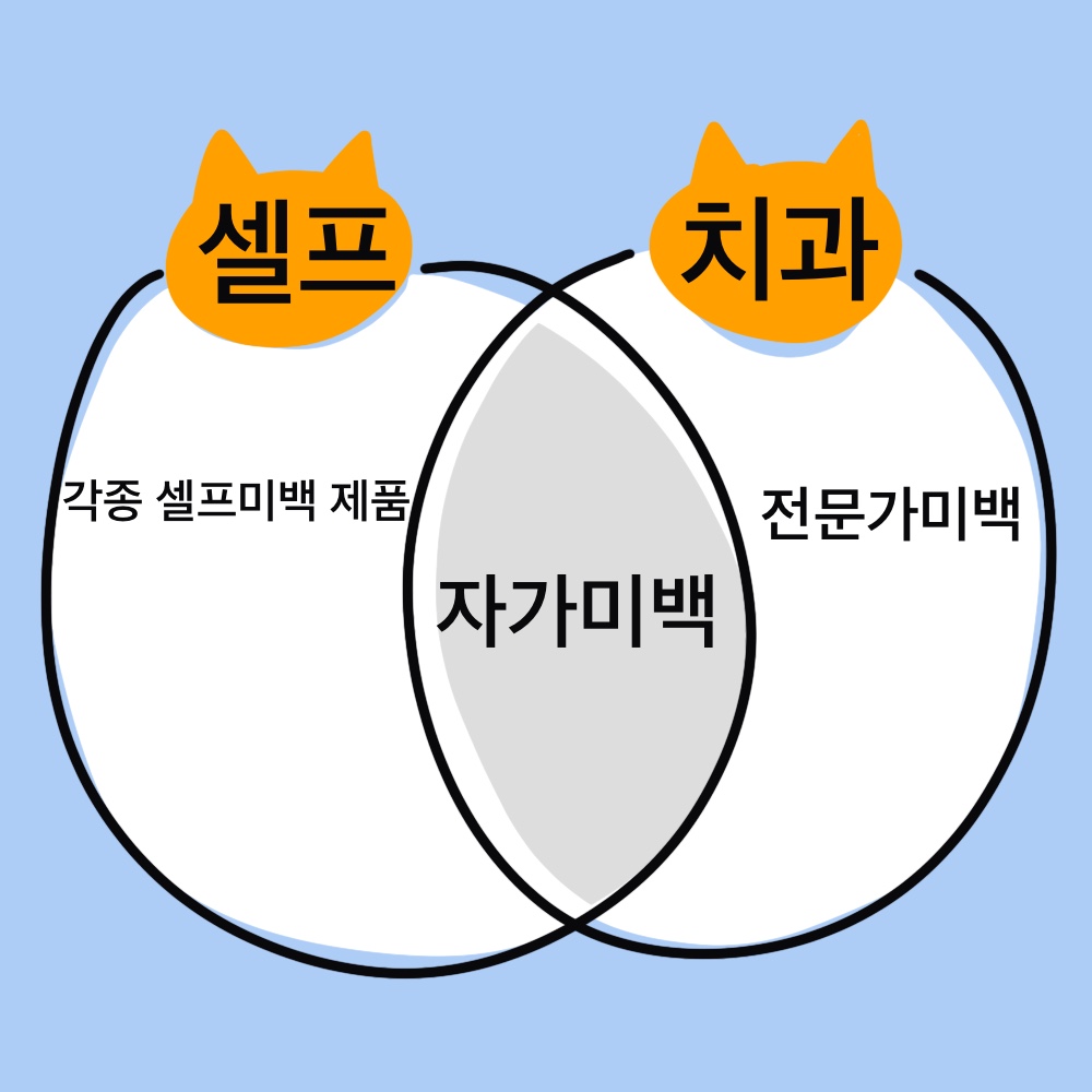 치아미백의-방법-벤다이어그램