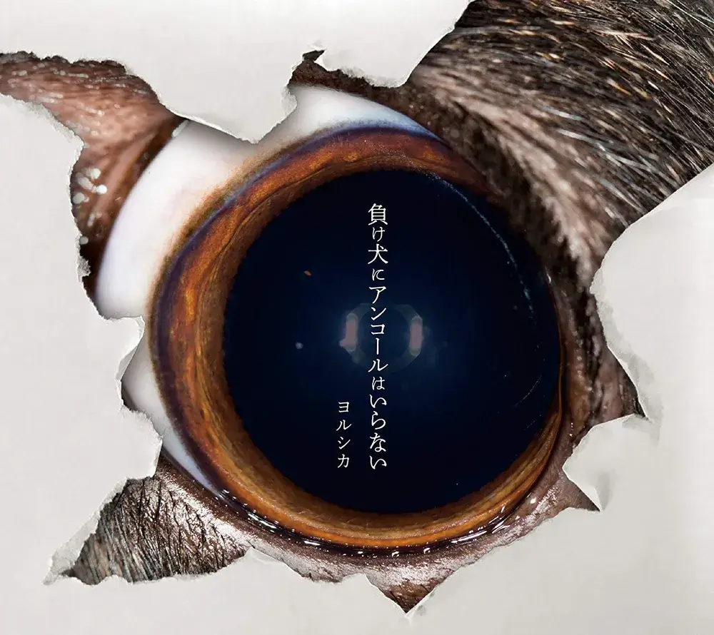 冬眠