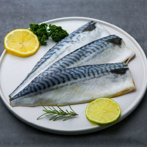 고등어다이어트