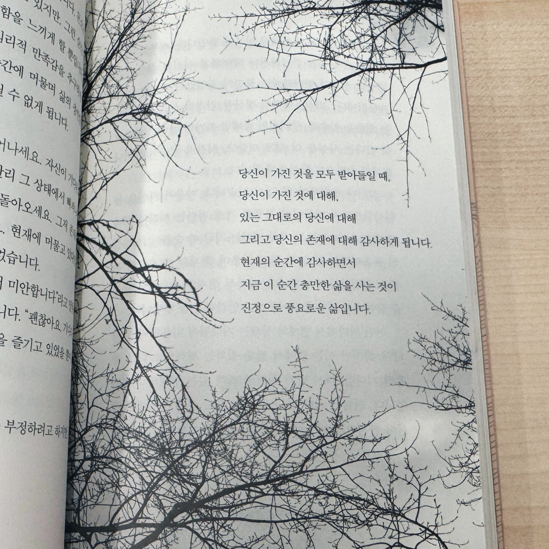 에크하르트 톨레 이 순간의 나