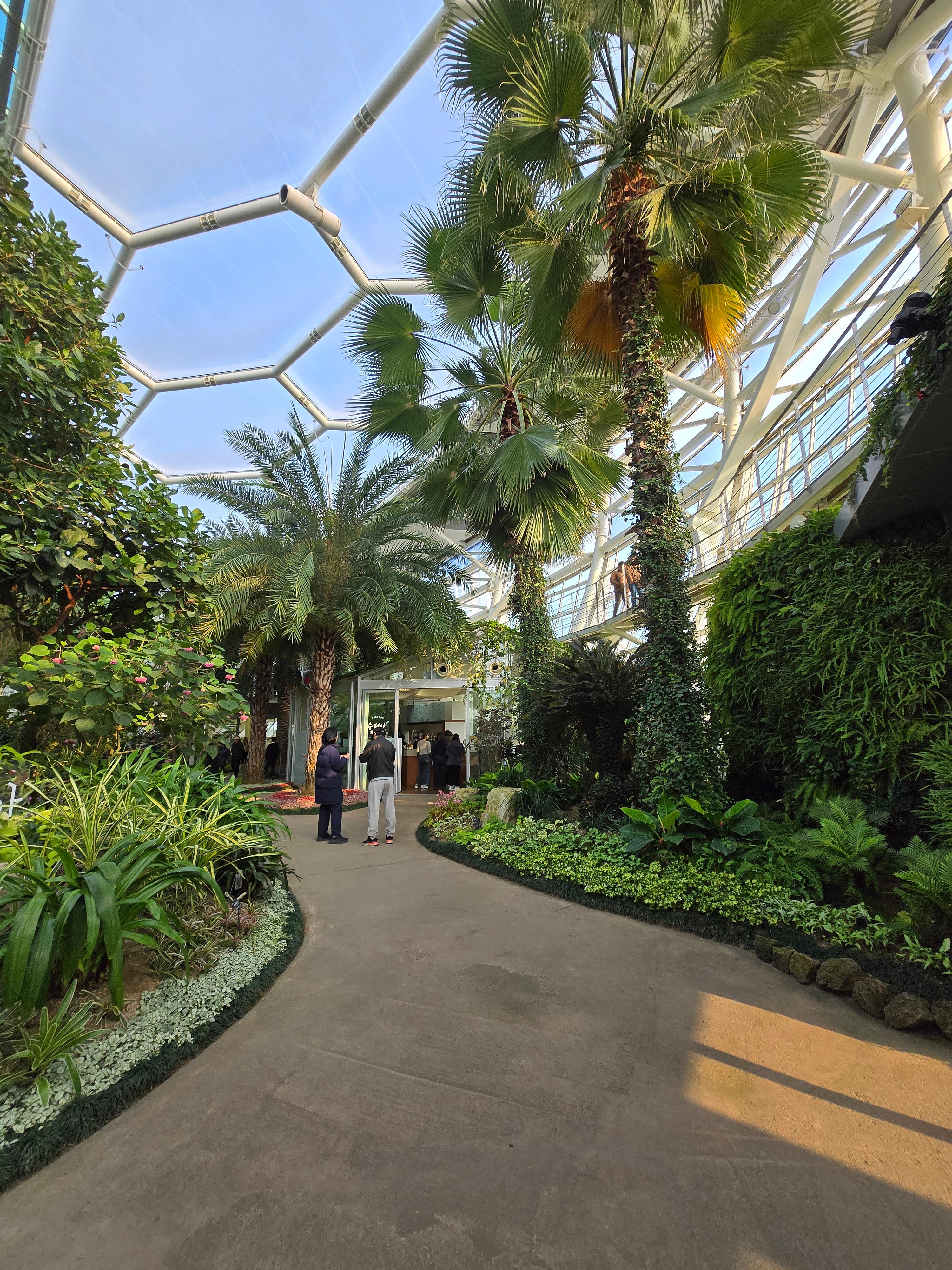 부천수피아식물원카페