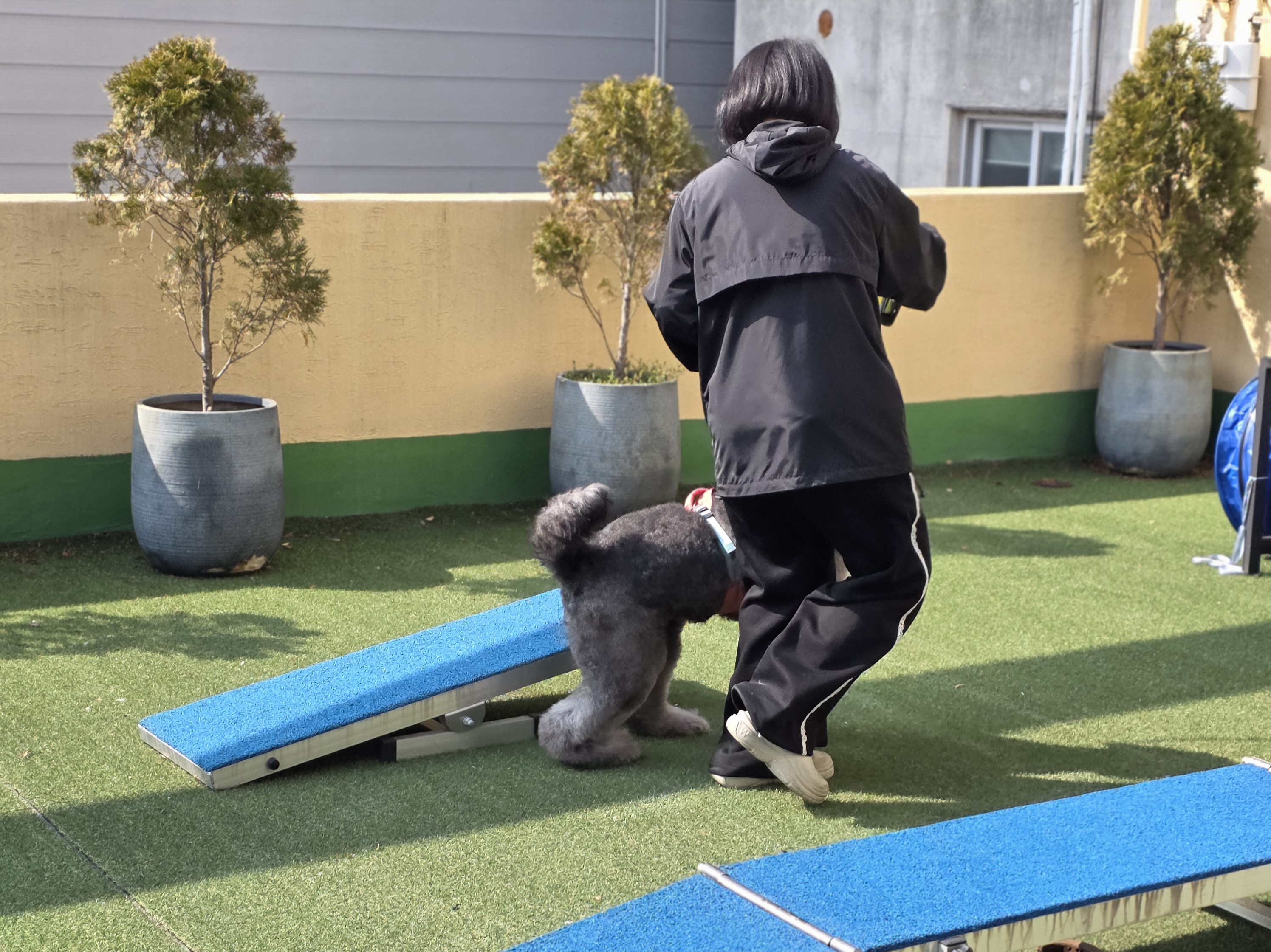 평택애견미용학원