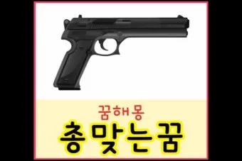 총맞는걸 본 꿈 다른 사람이 총에 맞아 죽는 꿈 사람들이 총맞아 죽는 꿈 해몽 풀이집_5