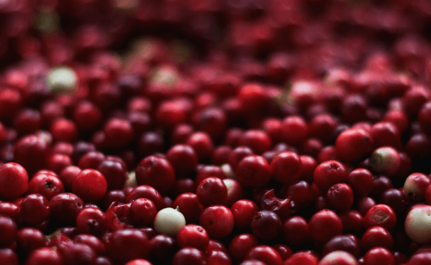 눈에 좋은 음식