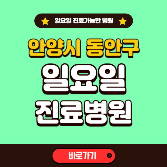 안양시 동안구 일요일 진료 가능한 병원 ❘ 주말 문여는 곳 총정리 (소아과, 내과, 안과, 치과, 피부과, 정형외과, 산부인과)